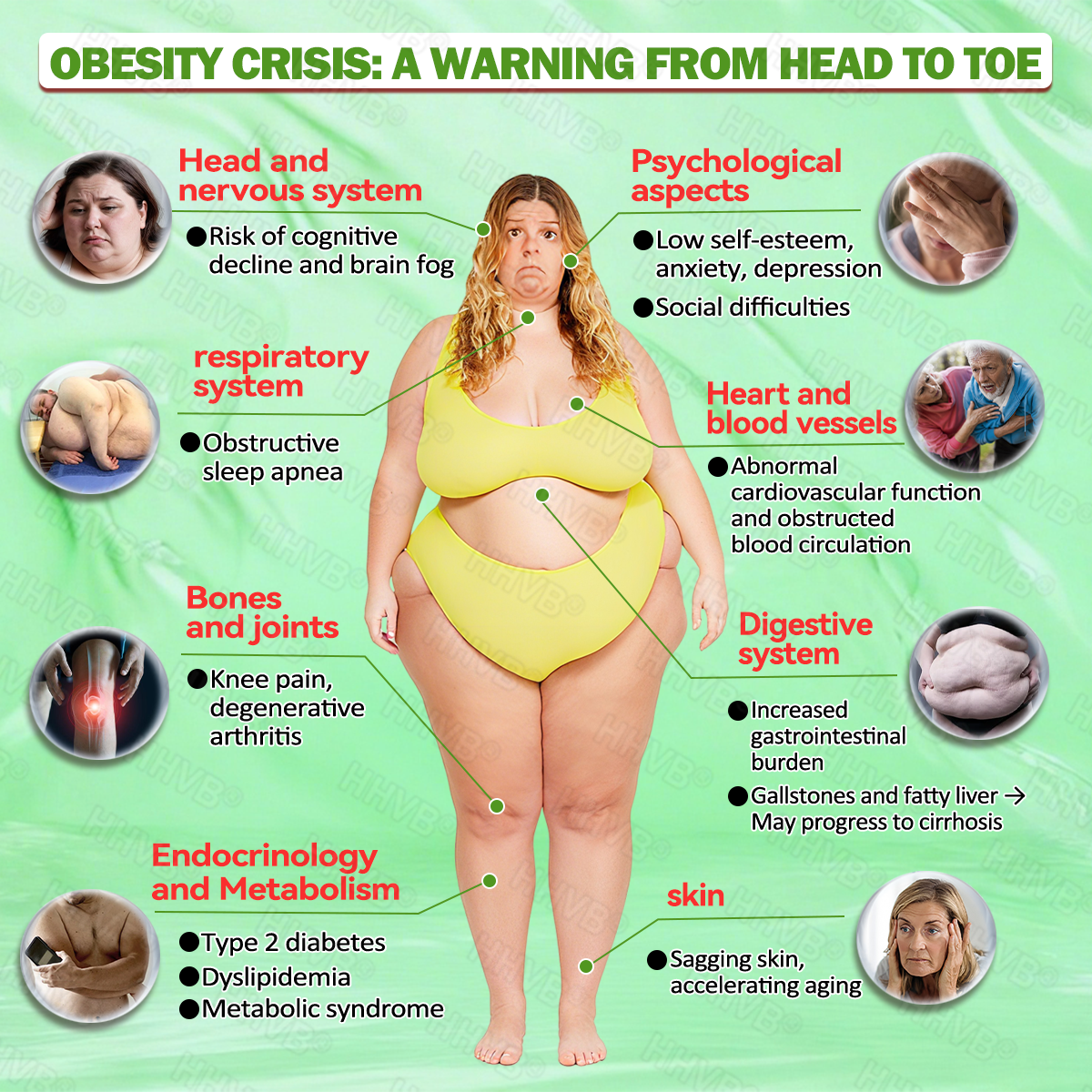 🇺🇸𝑶𝒇𝒇𝒊𝒄𝒊𝒂𝒍 𝑺𝒕𝒐𝒓𝒆  | 𝑯𝑯𝑽𝑩®🎁🎁𝐺𝐿𝑃-𝟏  𝑺𝑰𝑿 𝑰𝑵-𝑶𝑵𝑬 𝑯𝒆𝒂𝒍𝒕𝒉 𝑺𝒐𝒍𝒖𝒕𝒊𝒐𝒏 𝑶𝒓𝒂𝒍 𝑳𝒊𝒒𝒖𝒊𝒅  (𝐉𝐮𝐬𝐭 𝐨𝐧𝐜𝐞 𝐚 𝐝𝐚𝐲, 𝐯𝐢𝐬𝐢𝐛𝐥𝐞 𝐜𝐡𝐚𝐧𝐠𝐞𝐬 𝐢𝐧 𝟕 𝐝𝐚𝐲𝐬） ✅ 𝐅𝐨𝐫 𝐨𝐛𝐞𝐬𝐢𝐭𝐲, 𝐜𝐚𝐫𝐝𝐢𝐨𝐯𝐚𝐬𝐜𝐮𝐥𝐚𝐫 𝐡𝐞𝐚𝐥𝐭𝐡, 𝐝𝐢𝐚𝐛𝐞𝐭𝐞𝐬, 𝐬𝐥𝐞𝐞𝐩 𝐚𝐩𝐧𝐞𝐚, 𝐣𝐨𝐢𝐧𝐭 𝐢𝐬𝐬𝐮𝐞𝐬, 𝐚𝐧𝐝 𝐦𝐨𝐫𝐞