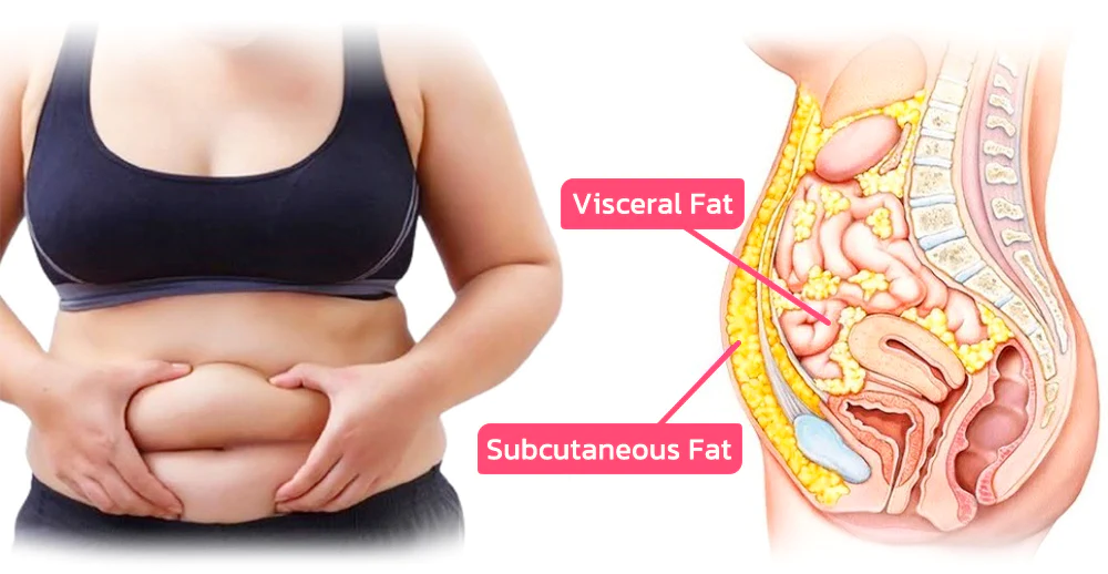 𝑷𝑬𝑨𝑹𝑳𝑴𝑶𝑶𝐍® 𝑰𝒄𝒆 𝑺𝒊𝒍𝒌 𝑰𝒐𝒏-𝑭𝒊𝒃𝒆𝒓 𝑹𝒆𝒑𝒂𝒊𝒓 𝑺𝒉𝒂𝒑𝒊𝒏𝒈 𝑺𝒉𝒐𝐫𝐭𝐬 👨‍⚕️𝐅𝐚𝐭 𝐛𝐮𝐫𝐧𝐢𝐧𝐠, 𝐬𝐤𝐢𝐧 𝐭𝐢𝐠𝐡𝐭𝐞𝐧𝐢𝐧𝐠, 𝐩𝐫𝐨𝐦𝐨𝐭𝐢𝐧𝐠 𝐜𝐢𝐫𝐜𝐮𝐥𝐚𝐭𝐢𝐨𝐧 & 𝐥𝐲𝐦𝐩𝐡𝐚𝐭𝐢𝐜 𝐝𝐫𝐚𝐢𝐧𝐚𝐠𝐞 𝐟𝐨𝐫 𝐡𝐨𝐥𝐢𝐬𝐭𝐢𝐜 𝐡𝐞𝐚𝐥𝐭𝐡