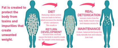 𝑷𝑬𝑨𝑹𝑳𝑴𝑶𝑶𝐍® 𝑰𝒄𝒆 𝑺𝒊𝒍𝒌 𝑰𝒐𝒏-𝑭𝒊𝒃𝒆𝒓 𝑹𝒆𝒑𝒂𝒊𝒓 𝑺𝒉𝒂𝒑𝒊𝒏𝒈 𝑺𝒉𝒐𝐫𝐭𝐬 👨‍⚕️𝐅𝐚𝐭 𝐛𝐮𝐫𝐧𝐢𝐧𝐠, 𝐬𝐤𝐢𝐧 𝐭𝐢𝐠𝐡𝐭𝐞𝐧𝐢𝐧𝐠, 𝐩𝐫𝐨𝐦𝐨𝐭𝐢𝐧𝐠 𝐜𝐢𝐫𝐜𝐮𝐥𝐚𝐭𝐢𝐨𝐧 & 𝐥𝐲𝐦𝐩𝐡𝐚𝐭𝐢𝐜 𝐝𝐫𝐚𝐢𝐧𝐚𝐠𝐞 𝐟𝐨𝐫 𝐡𝐨𝐥𝐢𝐬𝐭𝐢𝐜 𝐡𝐞𝐚𝐥𝐭𝐡